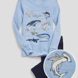 GAP Kids Organic Blue Cotton Pajama Set - Size 6 - Sea Creatures/Sharks/Whales